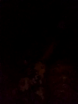 Snapshot of Hilkanna_ chatting on March 8, 2026, 9:29 pm Hilkanna online show from March 8, 2026, 9:29 pm