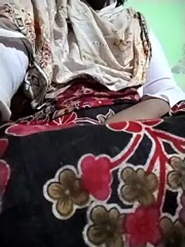 Shapla 1 online show from January 8, 2026, 3:14 pm