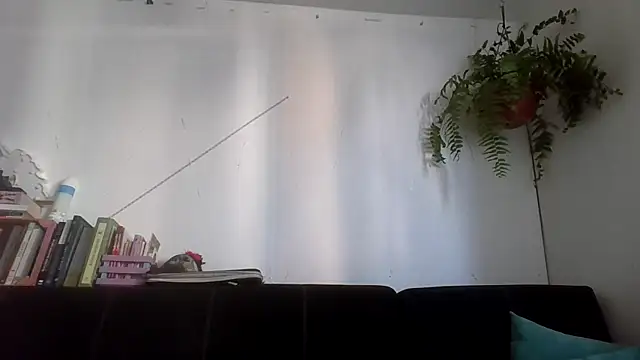 Tiramisu89 online show from February 8, 2026, 10:57 pm