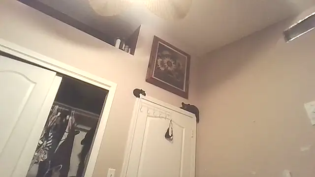 PompasPurpleriver online show from April 22, 2026, 2:36 am