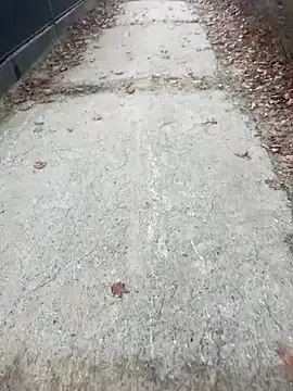 Tomkitomkii online show from November 6, 2025, 2:51 pm