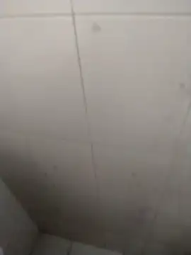 Snapshot of rohitlov150 chatting on September 18, 2025, 2:52 pm rohitlov150 online show from September 18, 2025, 2:52 pm