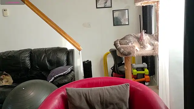 Thekodyy online show from September 17, 2025, 12:40 pm