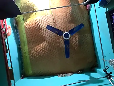 hotbaby 5 online show from December 14, 2024, 9:29 am