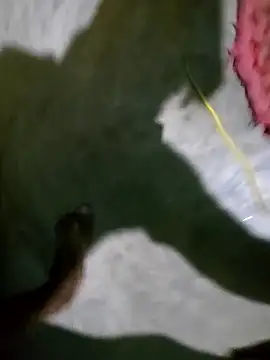 hotbaby 5 online show from January 5, 2025, 2:52 pm