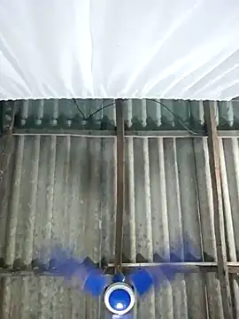 hotbaby 5 online show from November 1, 2025, 12:34 am