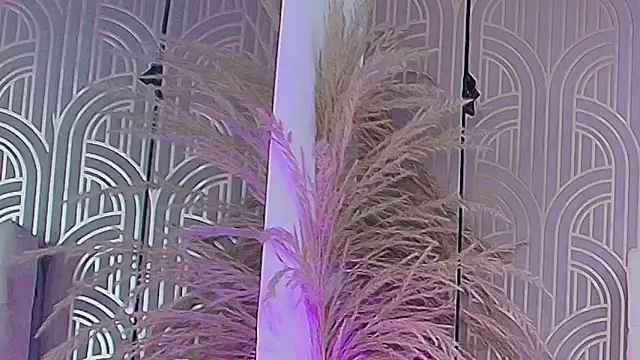 LeylaRangel online show from October 25, 2025, 3:47 am