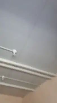 Brencuz online show from March 11, 2026, 11:33 pm