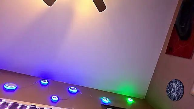 Highfrog1 online show from February 3, 2026, 8:08 am