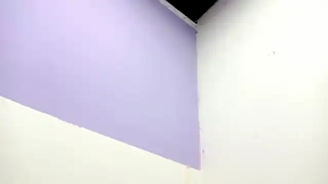 PetiteIvoryQueen19 online show from February 13, 2026, 1:01 am