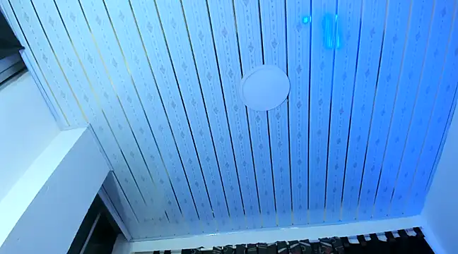 nova sex01 online show from December 4, 2024, 3:59 am