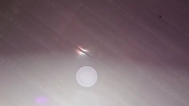 Alahia7demon online show from October 18, 2025, 12:13 am