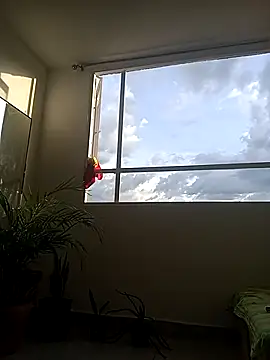 Dangerouspassion777 online show from September 30, 2025, 10:04 pm