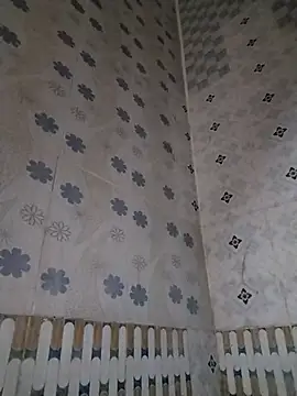 Snapshot of Arisha- chatting on October 8, 2025, 7:00 pm Arisha- online show from October 8, 2025, 7:00 pm