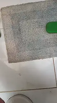 Snapshot of lobomisterioso13 chatting on January 30, 2025, 12:37 pm lobomisterioso13 online show from January 30, 2025, 12:37 pm