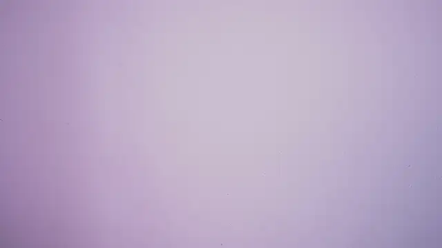 Celeste blazze online show from September 19, 2025, 6:41 pm