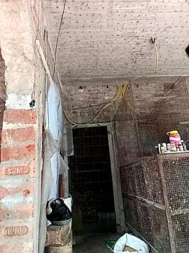 Snapshot of NICK_IN chatting on February 24, 2025, 7:33 am NICK IN online show from February 24, 2025, 7:33 am