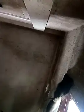 Snapshot of NICK_IN chatting on October 30, 2025, 3:52 am NICK IN online show from October 30, 2025, 3:52 am