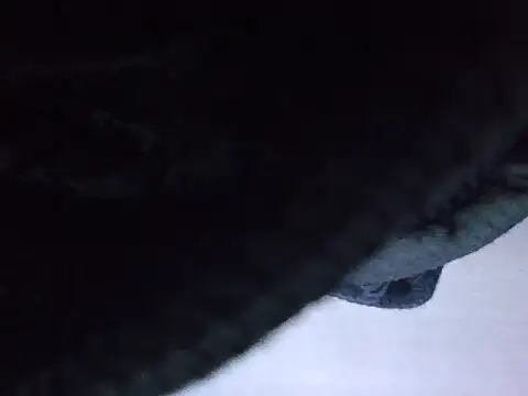 exmilitary online show from February 15, 2026, 12:58 pm