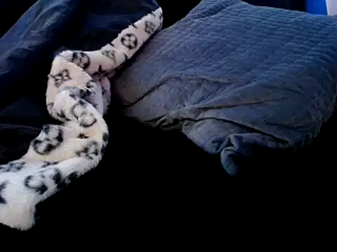 Snapshot of Niquitasparkles chatting on December 22, 2024, 9:31 pm Niquitasparkles online show from December 22, 2024, 9:31 pm