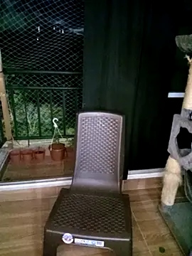 saba the courtesan online show from November 6, 2025, 11:15 pm