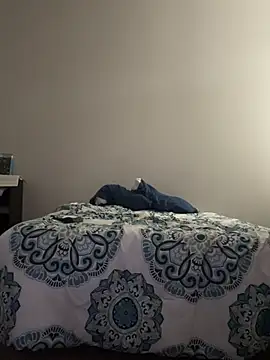 Snapshot of domoferrara chatting on February 19, 2026, 3:08 pm domoferrara online show from February 19, 2026, 3:08 pm