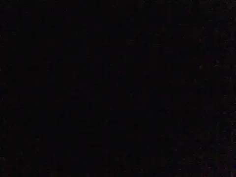 Snapshot of elsaiya chatting on February 4, 2025, 2:17 am elsaiya online show from February 4, 2025, 2:17 am