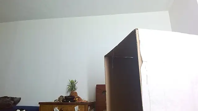 Snapshot of Party_trans chatting on December 14, 2024, 10:39 pm Party trans online show from December 14, 2024, 10:39 pm