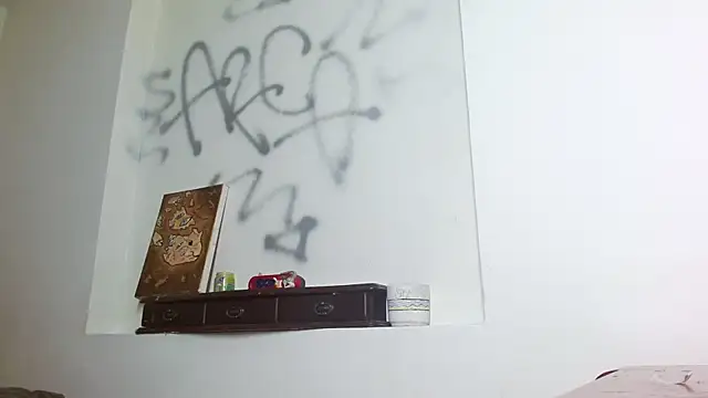 Snapshot of Party_trans chatting on December 16, 2024, 8:05 pm Party trans online show from December 16, 2024, 8:05 pm