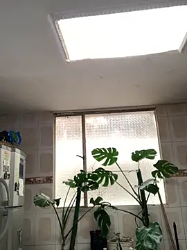 Miss oliviaa online show from November 26, 2025, 5:14 pm