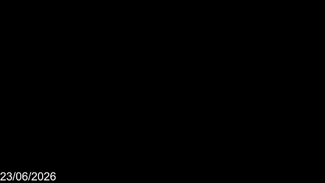 Bylie Hills online show from June 25, 2026, 9:52 pm