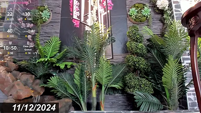 Eva Coluccy online show from December 12, 2024, 4:53 pm