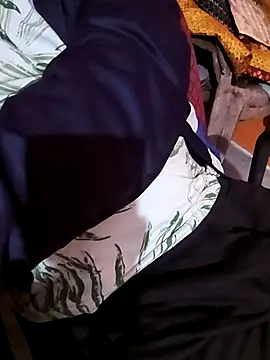 manoj master online show from November 17, 2025, 7:30 pm