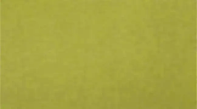 AnneGagner online show from March 9, 2025, 6:32 pm
