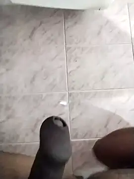 max pane98 online show from February 6, 2025, 12:43 am