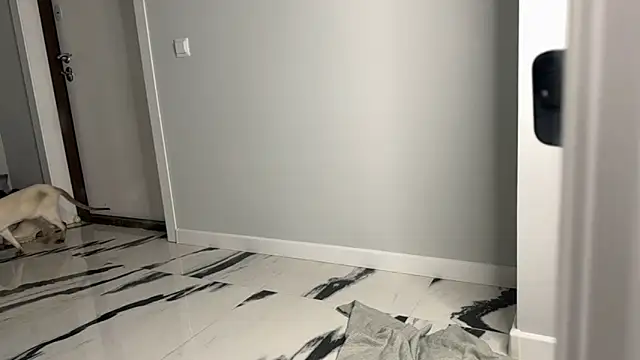 Snapshot of elisa_moon chatting on December 23, 2024, 5:06 am elisa moon online show from December 23, 2024, 5:06 am