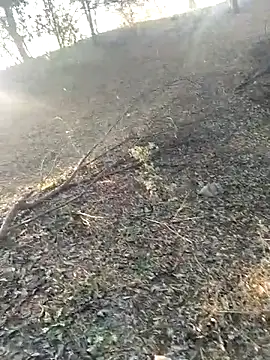 jellydicks online show from February 21, 2026, 2:01 am