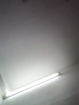 Tamilrojanew online show from March 11, 2026, 4:51 am