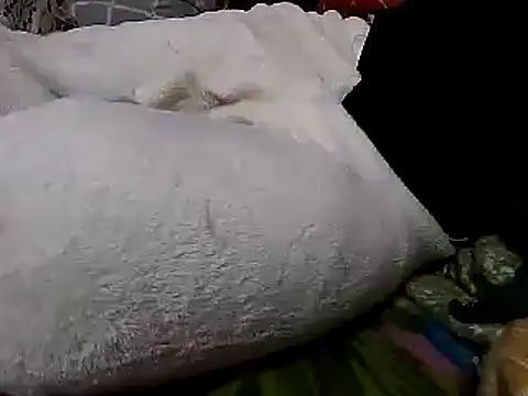 sexyguy1231 online show from December 26, 2024, 3:53 pm