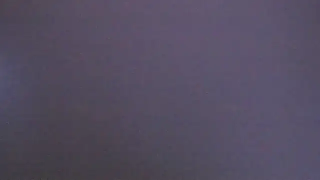 Zoeth Ruiz online show from January 23, 2025, 3:32 pm