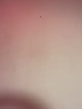  Chartlotte online show from December 11, 2024, 11:32 pm