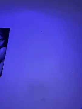  Chartlotte online show from February 4, 2025, 12:19 am