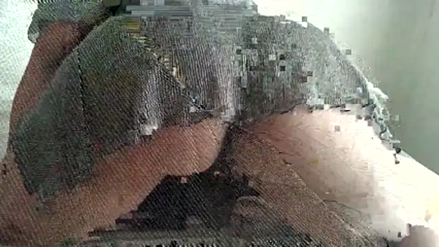 Bobscat11 online show from May 11, 2026, 6:30 am