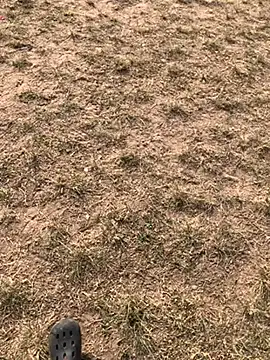 Black mamba madingo online show from December 10, 2024, 3:01 pm