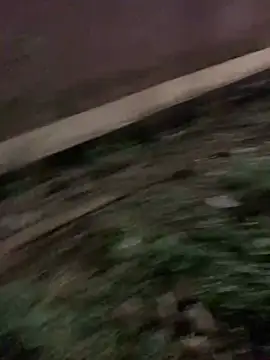 Black mamba madingo online show from January 17, 2025, 6:33 pm