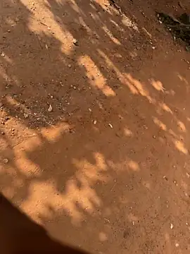 Black mamba madingo online show from March 21, 2026, 8:41 am