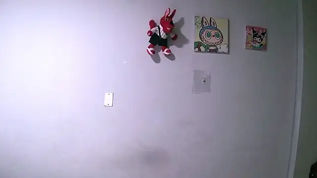 Snapshot of hailey85 chatting on February 17, 2026, 11:33 pm hailey85 online show from February 17, 2026, 11:33 pm