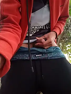 Snapshot of Piyush_2024 chatting on December 31, 2024, 1:47 am Piyush 2024 online show from December 31, 2024, 1:47 am