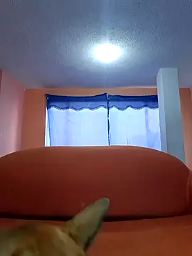 Snapshot of thoom-d chatting on February 25, 2025, 9:13 pm thoom-d online show from February 25, 2025, 9:13 pm