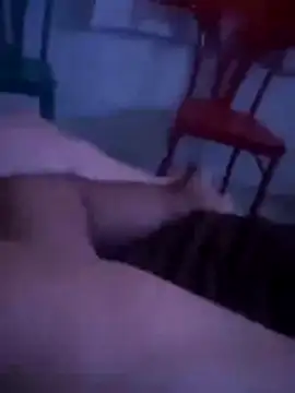 Snapshot of Malubrotudo chatting on February 1, 2026, 11:25 pm Malubrotudo online show from February 1, 2026, 11:25 pm